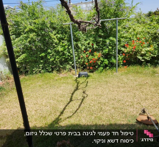 עציצים, כלי גינון ודשא בגינה קטנה